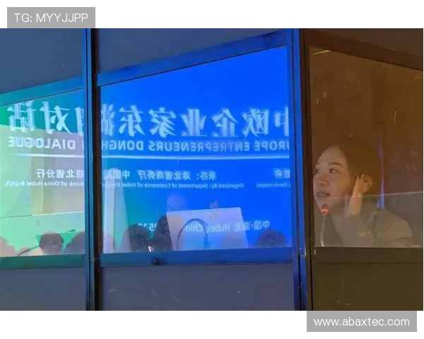 湖北籍企业家引领创新发展推动地方经济崛起探索多元化商业模式新机遇